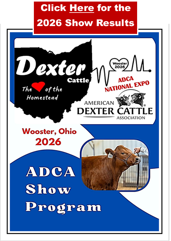 Dexter Bulletin