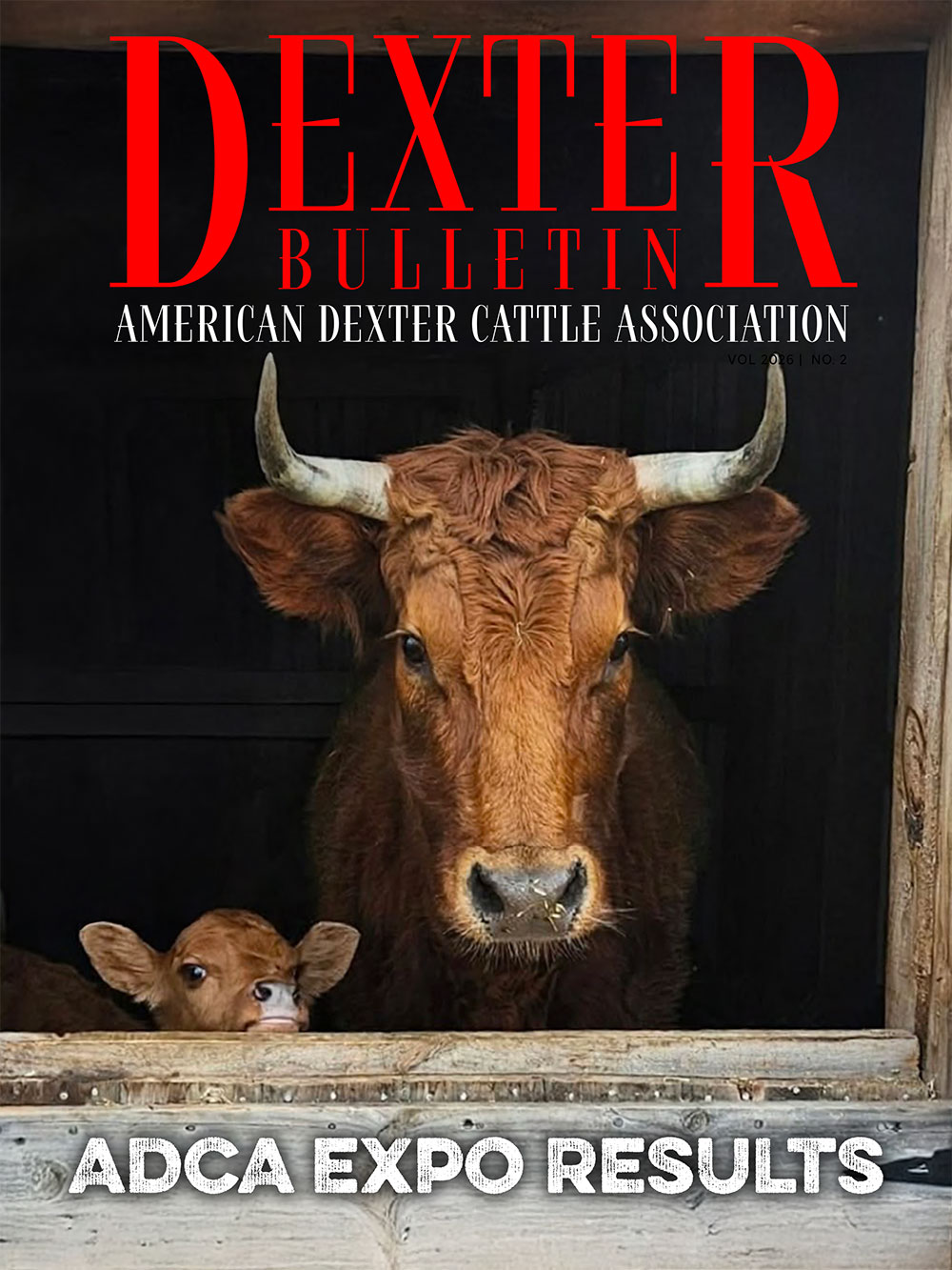 Dexter Bulletin